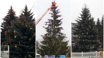 Можна порівняти: які ялинки встановили у містах на Рівненщині