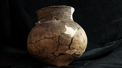 Знахідки року Знахідки року