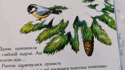 Ілюстрації до книжки створила Леся Носихіна Ілюстрації до книжки створила Леся Носихіна