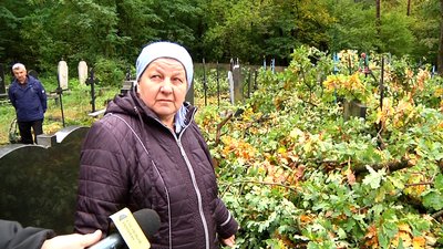 Пошкодили понад два десятки могил – на Житомирщині зрізали дерева на кладовищі Пошкодили понад два десятки могил – на Житомирщині зрізали дерева на кладовищі