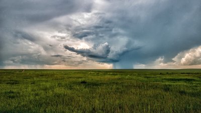 На Сумщині попереджають про пориви вітру
