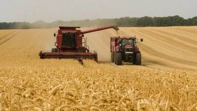 103 миколаївські підприємства скористалися дотацією на підтримку агропромисловості