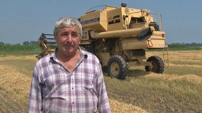 На Черкащині очікують вищий урожай озимих культур, ніж минулого року