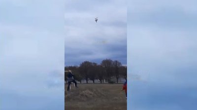 Після поширення відео знущання з птаха три родини з Кіровоградщини взяли на облік