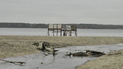 Чому в акваторії Каховського водосховища масово гине риба