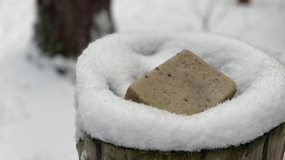 На Житомирщині батько та син взимку підгодовують диких тварин у лісі На Житомирщині батько та син взимку підгодовують диких тварин у лісі