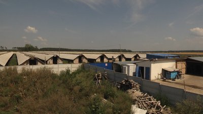 Норкова ферма "Профуна" на Житомирщині поновила роботу, всупереч рішенню суду Норкова ферма "Профуна" на Житомирщині поновила роботу, всупереч рішенню суду