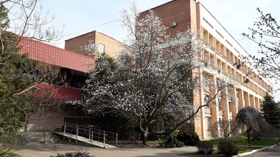 "Запах також чудовий": у Полтаві заквітло 40-річне дерево магнолії "Запах також чудовий": у Полтаві заквітло 40-річне дерево магнолії