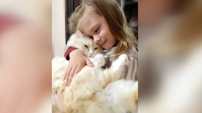 8-річна Лілія зустрілась зі своїм котом після декількох тижнів розлуки. 8-річна Лілія зустрілась зі своїм котом після декількох тижнів розлуки.