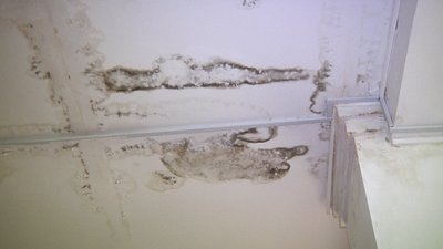 На Житомирщині цього літа дитячий табір "Орлятко" не прийматиме дітей