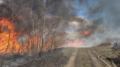 Підпал сухої трави. За тиждень на Дніпропетровщині згоріло 350 гектарів екосистем