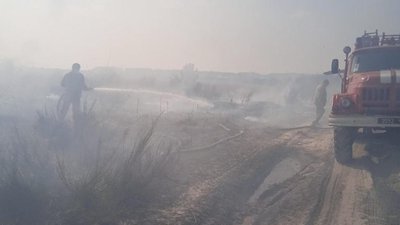 Гектари у вогні: на Волині одразу кілька пожеж в екосистемі