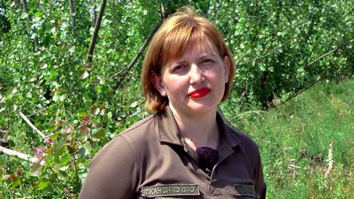 розмінування розмінування
