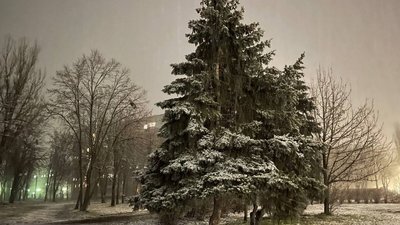 У Черкасах випав перший сніг
