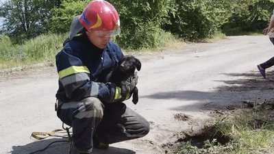 Врятували чотирилапого: на Дніпропетровщині дістали собаку, який впав у відкритий люк
