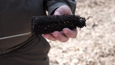 Під час весняної кампанії на Вінниччині планують висадити 720 гектарів лісів Під час весняної кампанії на Вінниччині планують висадити 720 гектарів лісів