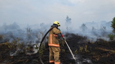 Горить торфовище торф'яник на Волині, пожежа село Залаззя, ДСНС Волині