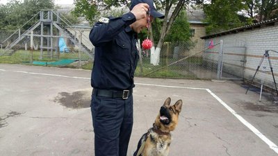 Показали волинських собак-поліцейських, які можуть шукати 10 видів наркотиків Показали волинських собак-поліцейських, які можуть шукати 10 видів наркотиків