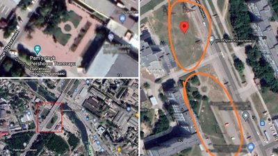 У Кропивницькому шукають місце для висадки 30 дерев та кущів