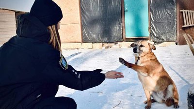 Поліцейські влаштували фотосесію з безпритульними тваринами Поліцейські влаштували фотосесію з безпритульними тваринами