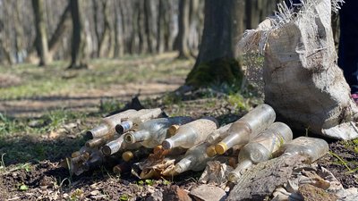 50 мішків сміття зібрали під час прибирання лісу у Тернополі 50 мішків сміття зібрали під час прибирання лісу у Тернополі