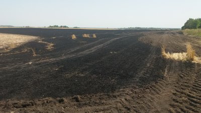 Вночі на Харківщині горіло поле пшениці Вночі на Харківщині горіло поле пшениці