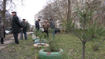 "Немає ні зеленої зони, ні дитячого майданчика": понад два роки ОСББ у Рівному просять у міста земельну ділянку "Немає ні зеленої зони, ні дитячого майданчика": понад два роки ОСББ у Рівному просять у міста земельну ділянку