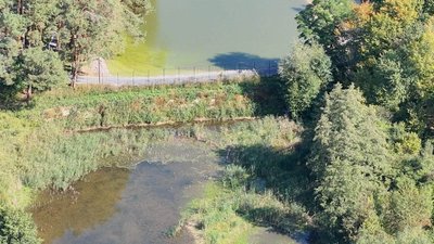 Самовільно встановлений паркан у селі Струмівка на річці Зеленка
