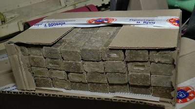 Понад пів мільйона доз приманок: на Полтавщині за допомогою авіації імунізують диких тварин Понад пів мільйона доз приманок: на Полтавщині за допомогою авіації імунізують диких тварин