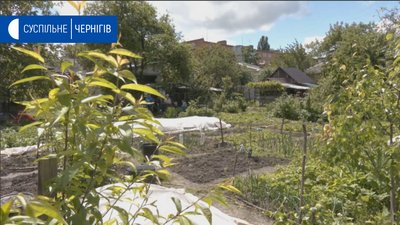 Городи на Пирогова підтоплює: кого звинувачують люди, та що каже місцева влада Чернігова