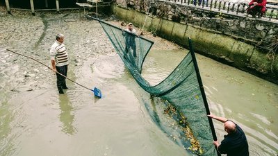 У львівському Парку культури спустили воду зі ставка У львівському Парку культури спустили воду зі ставка