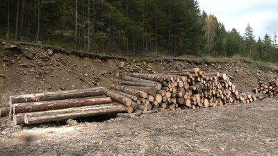 Якщо дорогу не відремонтують, вона вже цієї зими може стати непроїзною Якщо дорогу не відремонтують, вона вже цієї зими може стати непроїзною