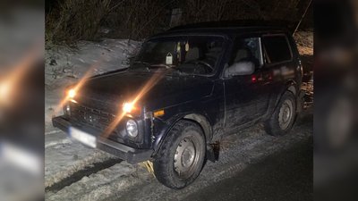 На Чернігівщині впіймали двох мисливців, які вполювали двох диких кабанів