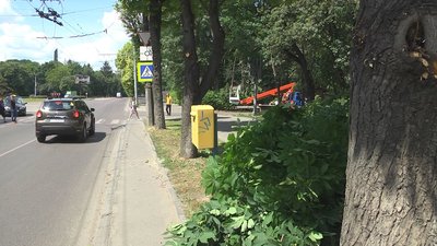 У Луцьку обрізають гілля дерев, щоб водії бачили дорожні знаки У Луцьку обрізають гілля дерев, щоб водії бачили дорожні знаки