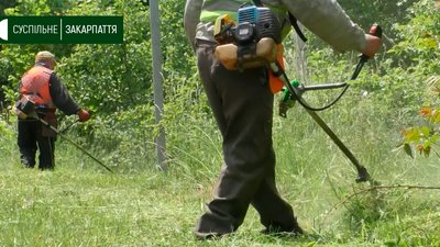 Рух транспорту частково обмежили біля села Кам'яниця на Ужгородщині через обрізку дерев Рух транспорту частково обмежили біля села Кам'яниця на Ужгородщині через обрізку дерев