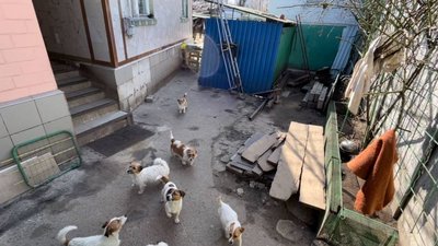 Смерть семирічного хлопчика з Черкас: прокуратура просить суворіше покарання Смерть семирічного хлопчика з Черкас: прокуратура просить суворіше покарання