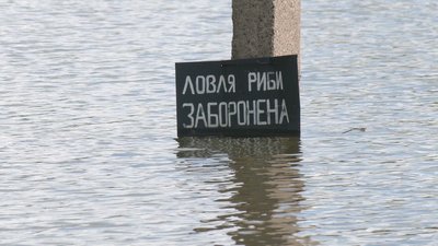 Суперечливі ставки