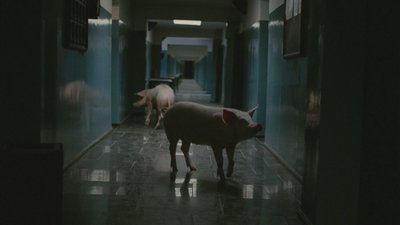 Кадр з фільму "Дау. Дегенерація"