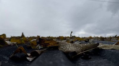 Погода на Рівненщині