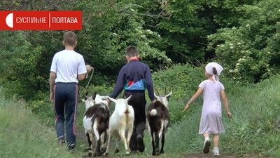 Діти в родині Бозейків допомагають батькам по господарству