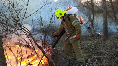 Майже 60 пожеж на відкритих територіях за добу сталося у Полтавській області