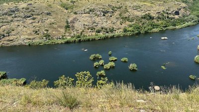 Розширення Ташлицької ГАЕС: екологи попереджають про загрозу для води та флори Розширення Ташлицької ГАЕС: екологи попереджають про загрозу для води та флори