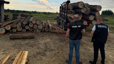Правоохоронці викрили незаконну вирубку дерев
