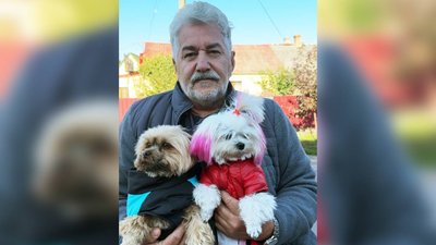 Волинь, Луцьк, волонтер, Сергій Новосад, тварини, собаки, коти, Херсон, допомога тваринам