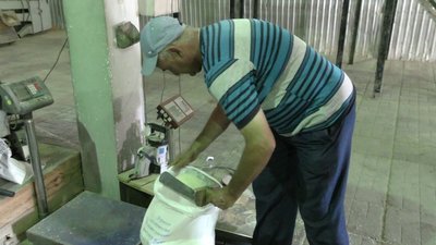 Рис по-українськи: як його вирощують на Херсонщині