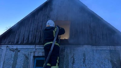 Порятунок у вогняній пастці: на Миколаївщині з полум'я винесли песика Порятунок у вогняній пастці: на Миколаївщині з полум'я винесли песика