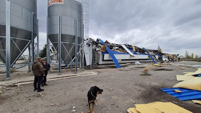 Обстрілювали з травня чи не щодня. На Донеччині показали зруйновану птахофабрику, де загинули 800 тисяч курок
