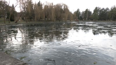 Мор риби Мор риби