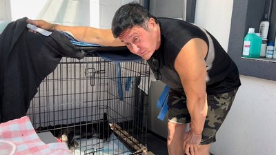 Миколаївська спортсменка залишилась у місті, аби допомагати безпритульним тваринам Миколаївська спортсменка залишилась у місті, аби допомагати безпритульним тваринам
