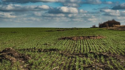 Сіра зона. На Миколаївщині села на місяць залишились без постачання Сіра зона. На Миколаївщині села на місяць залишились без постачання